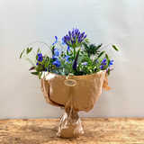 Blå Blomst Buket