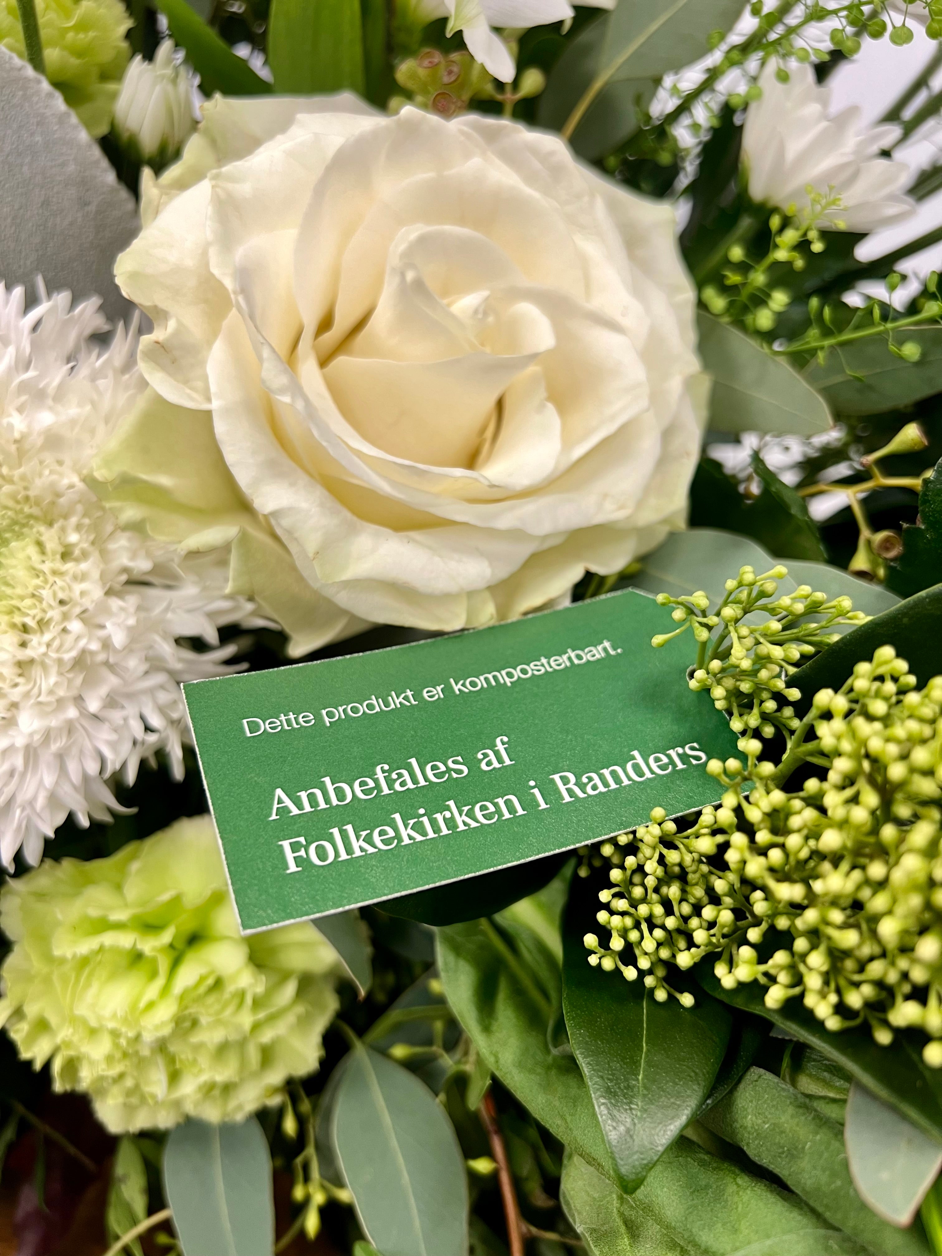 Bæredygtighed i fokus: Smukke blomster med omtanke for miljøet