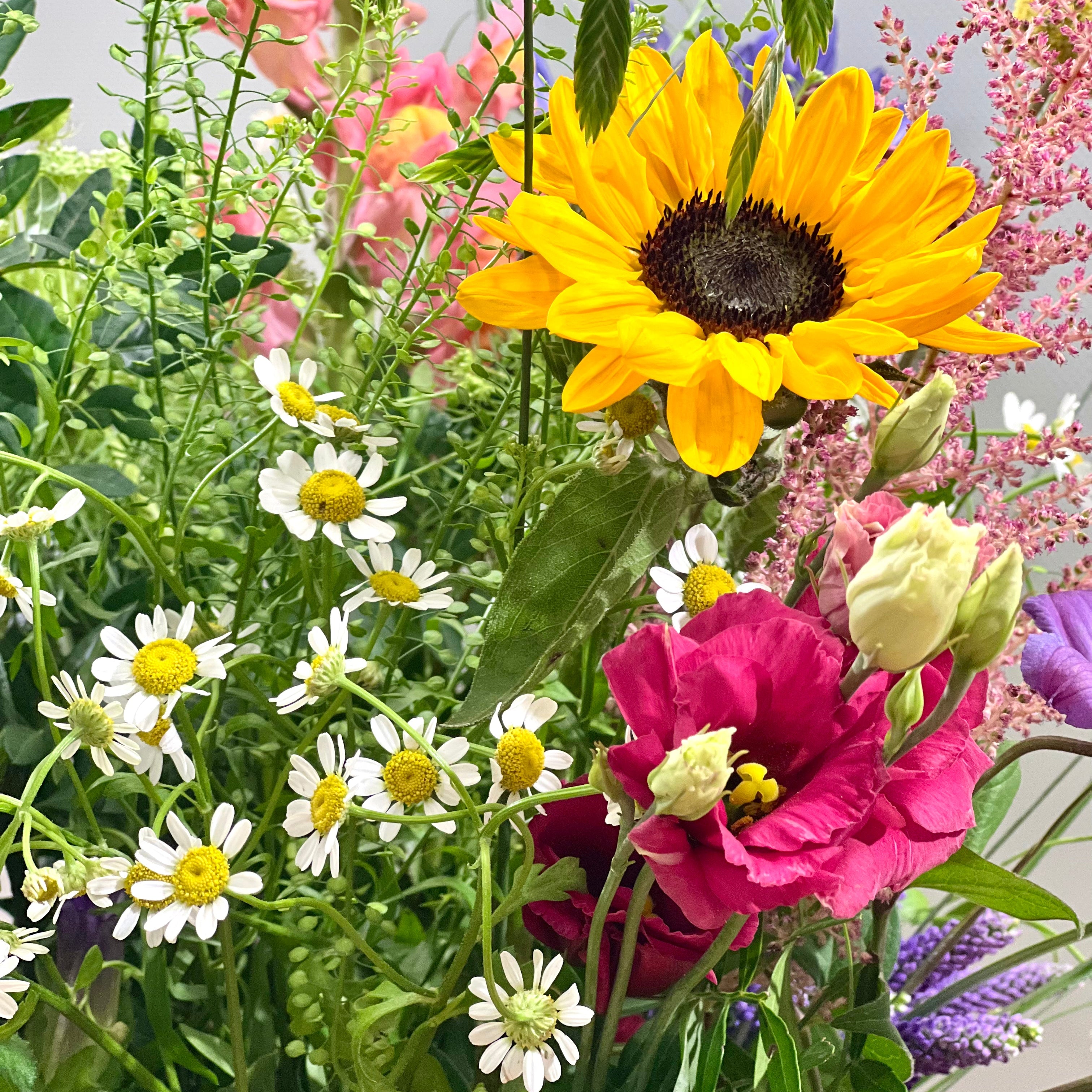 7 fejl der forkorter dine blomsters levetid – og sådan undgår du dem