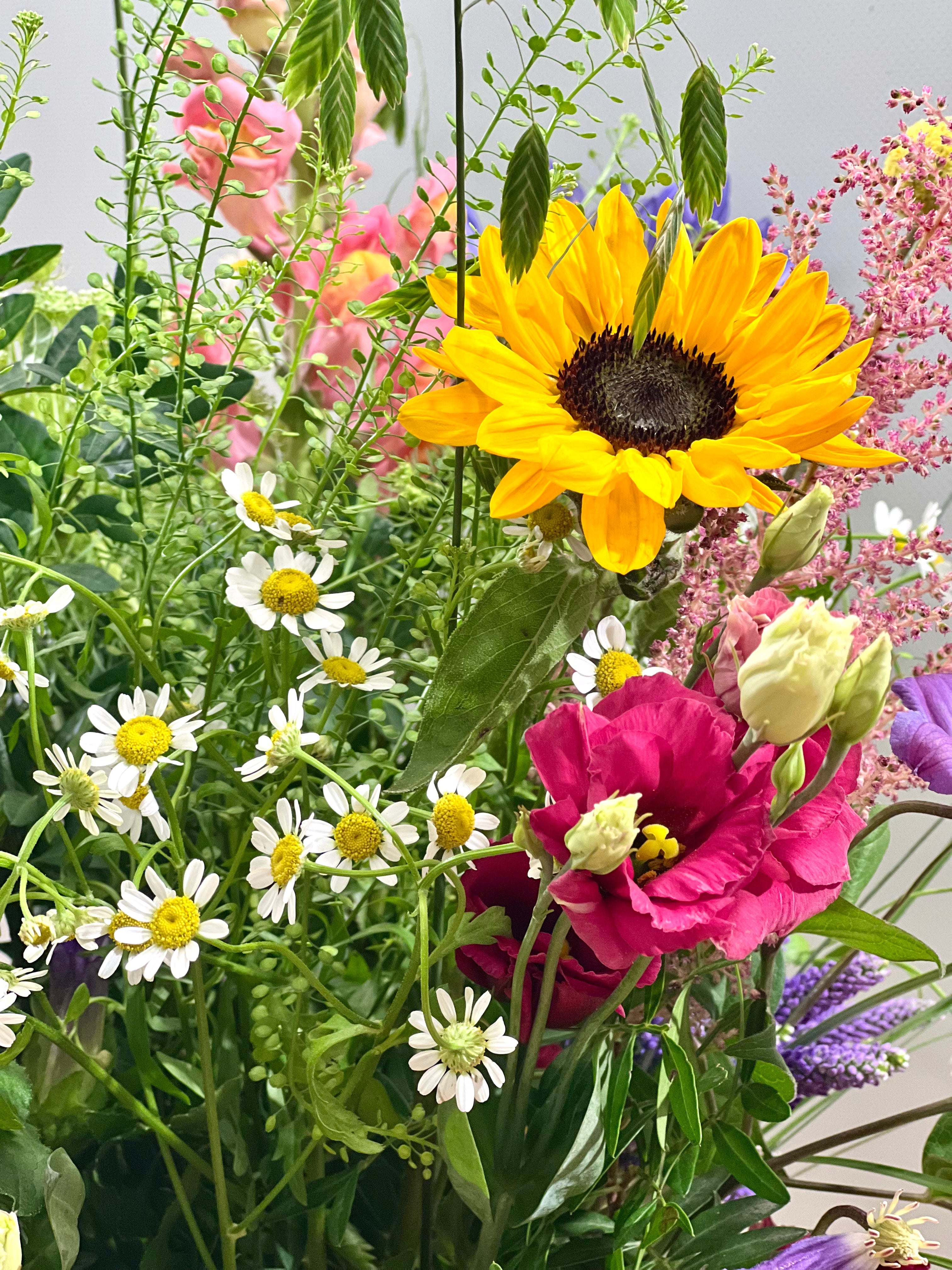 7 fejl der forkorter dine blomsters levetid – og sådan undgår du dem