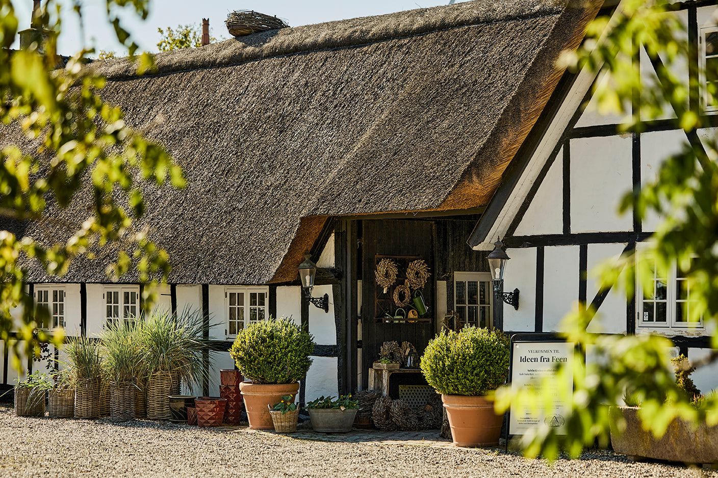 Blomsterbindingskursus i Randers: teknikker, æstetik og bæredygtighed