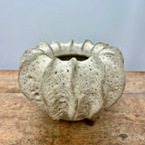 Hvid Moss Vase Fra Birch Nielsen - 16 cm