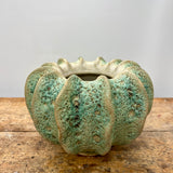 Lys Grøn Moss Vase Fra Birch Nielsen - 16 cm