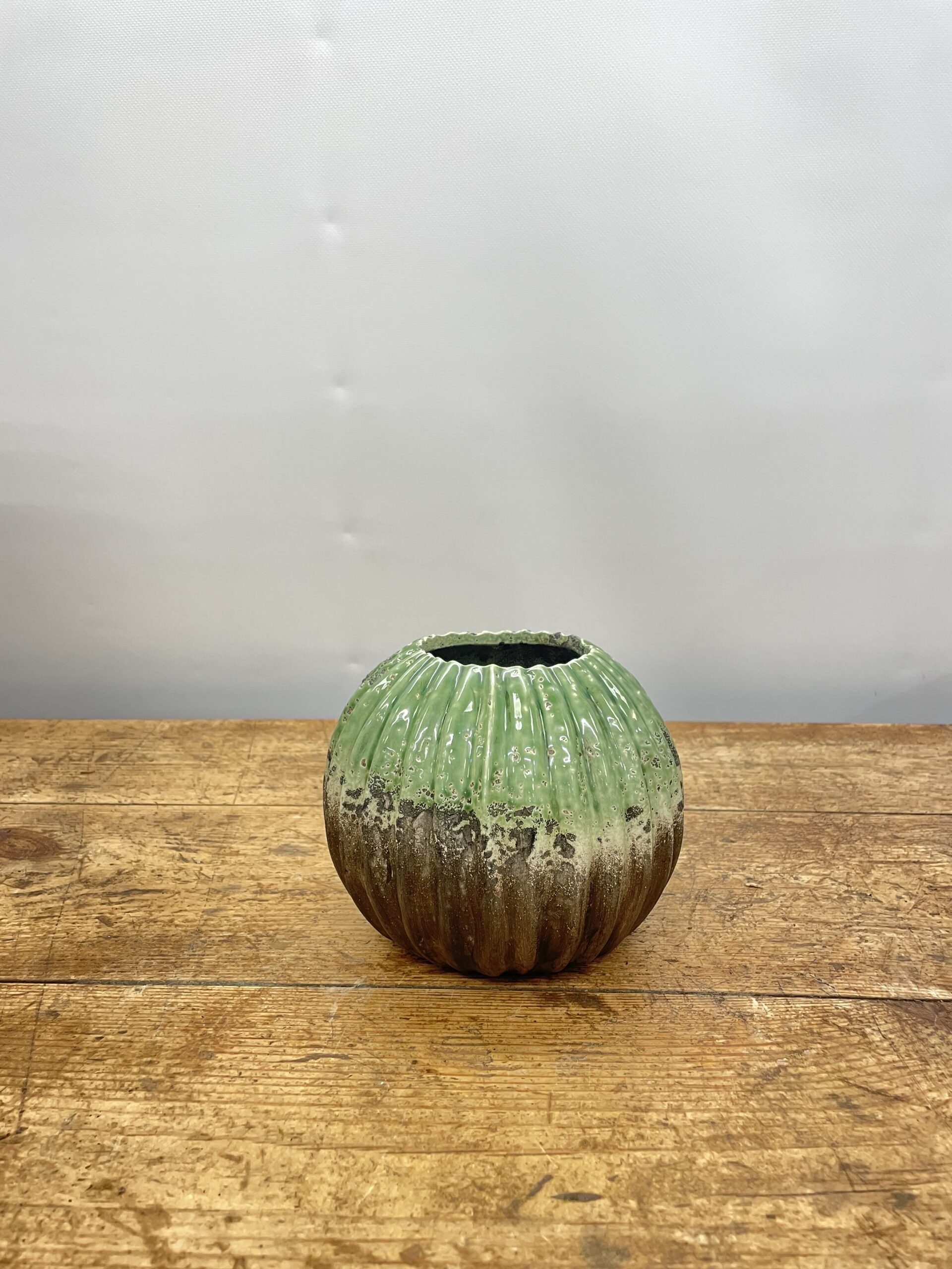 Kaktus line vase fra Birch - Ideen fra Feen